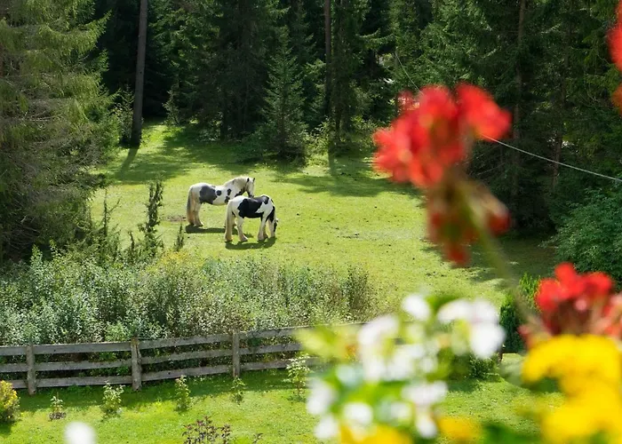 Tannenblick Lejlighed