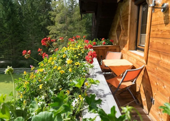 Tannenblick 公寓 *