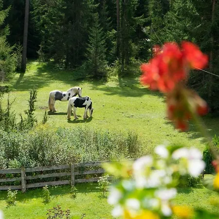 Tannenblick Lejlighed
